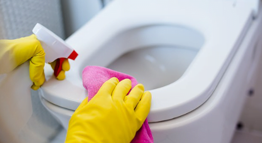 Cleaning a toilet with bleach