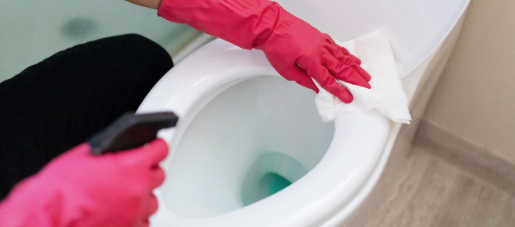 Cleaning toilet seat