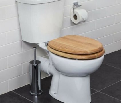Wood Vs. Plastic Toilet Seat