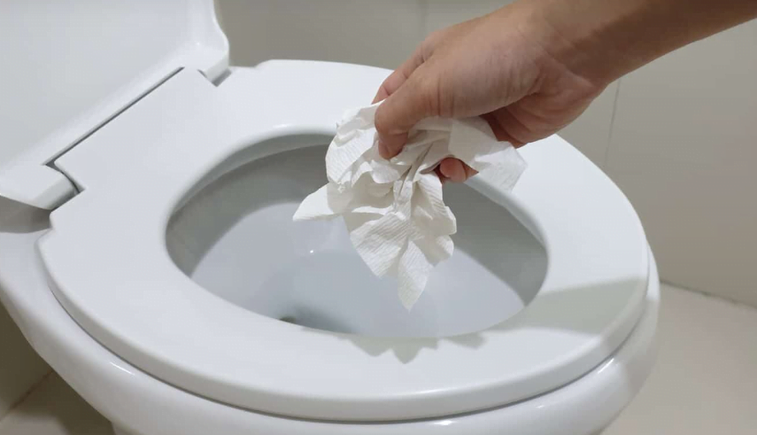 How To Dissolve Paper Towel In Toilet Spruce Bath