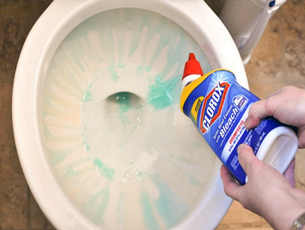 Does Bleach Dissolve Toilet Paper