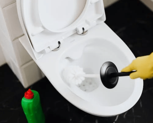 pexels photo 4239074