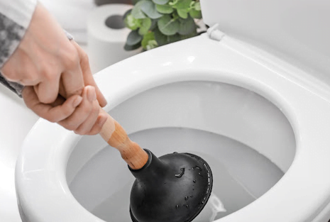 plunging toilet
