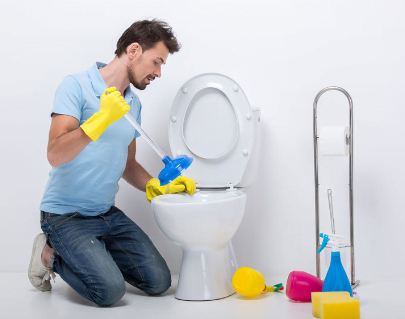 toilet clog