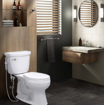 Bidet vs. Wet Wipes 3