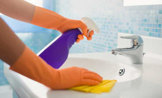 Can You Use Toilet Bowl Cleaner in the Sink