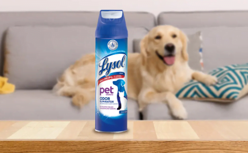 How to Get Rid of Lysol Smell 4 How to Get Rid of Lysol Smell