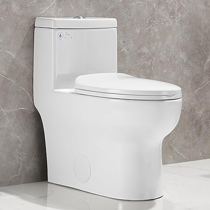 Best Non-Clogging Toilets On the Market Today 9 5