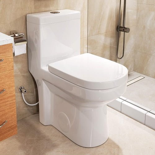 28 Simple and Budget Friendly Toilets 20 19