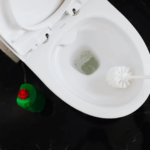 How To Remove Hard Water Stains From Your Toilet