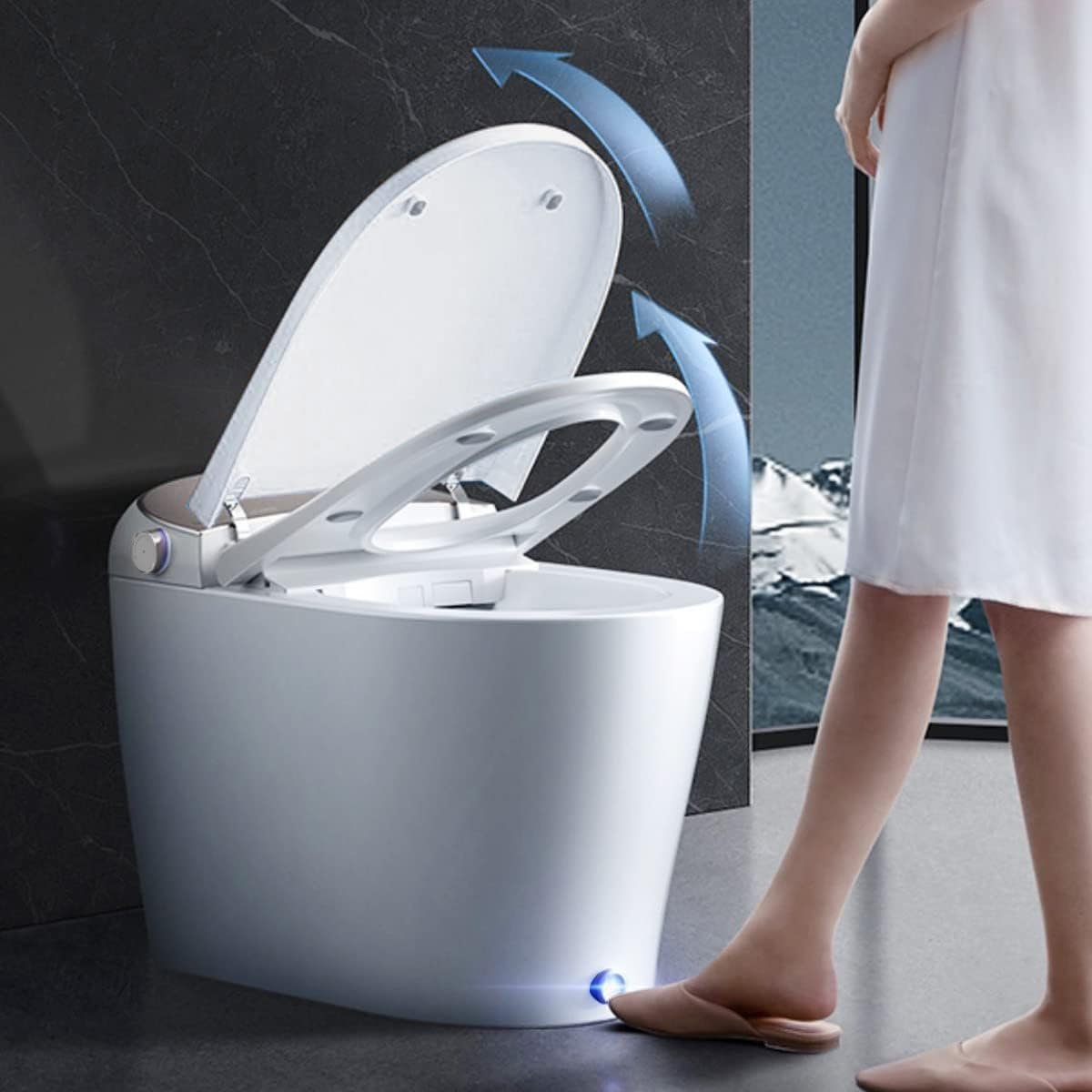 Best Bidet Toilet Combos