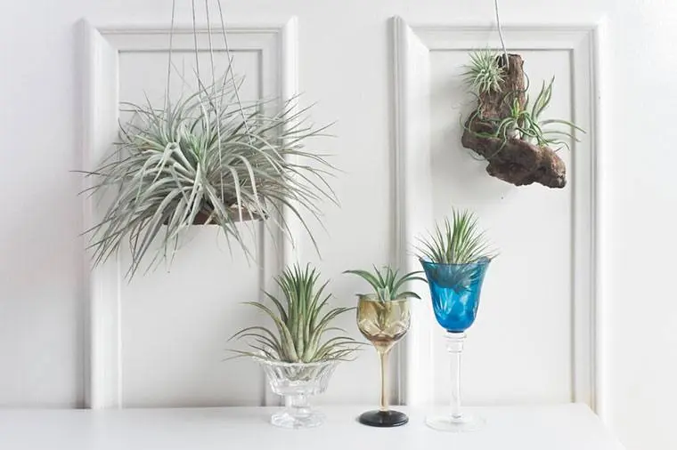Moisture-Resistant Bathroom Plant Decor Ideas
