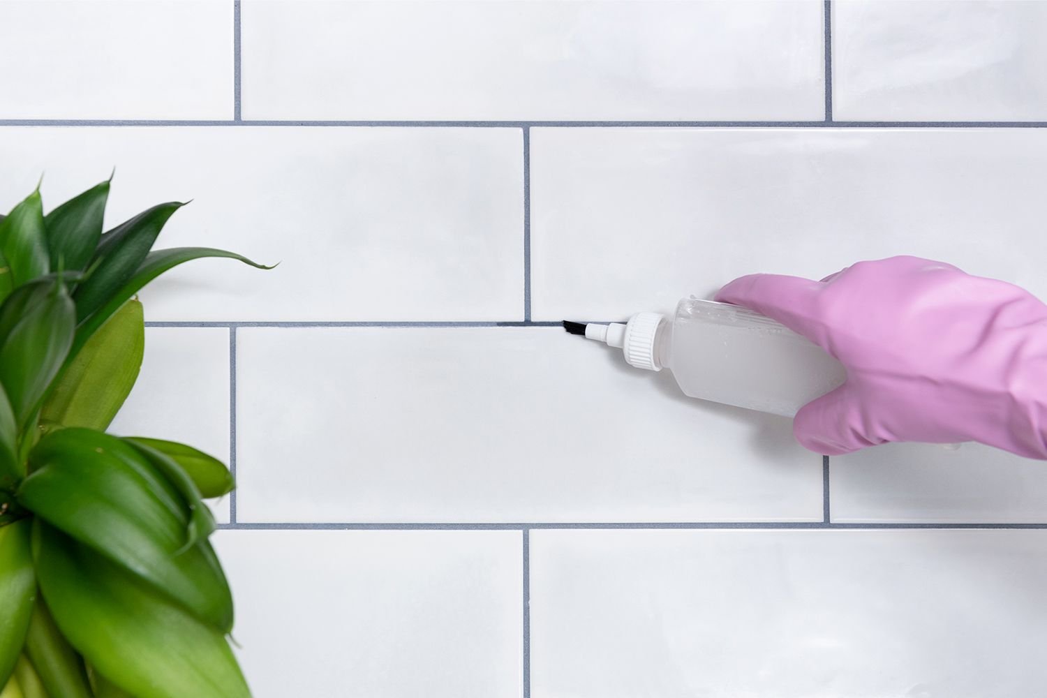 How to Prevent Mold in Bathroom Grout Naturally