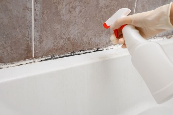 8 Nontoxic Bathroom Mold Cleaning Solutions 4 2016025 1