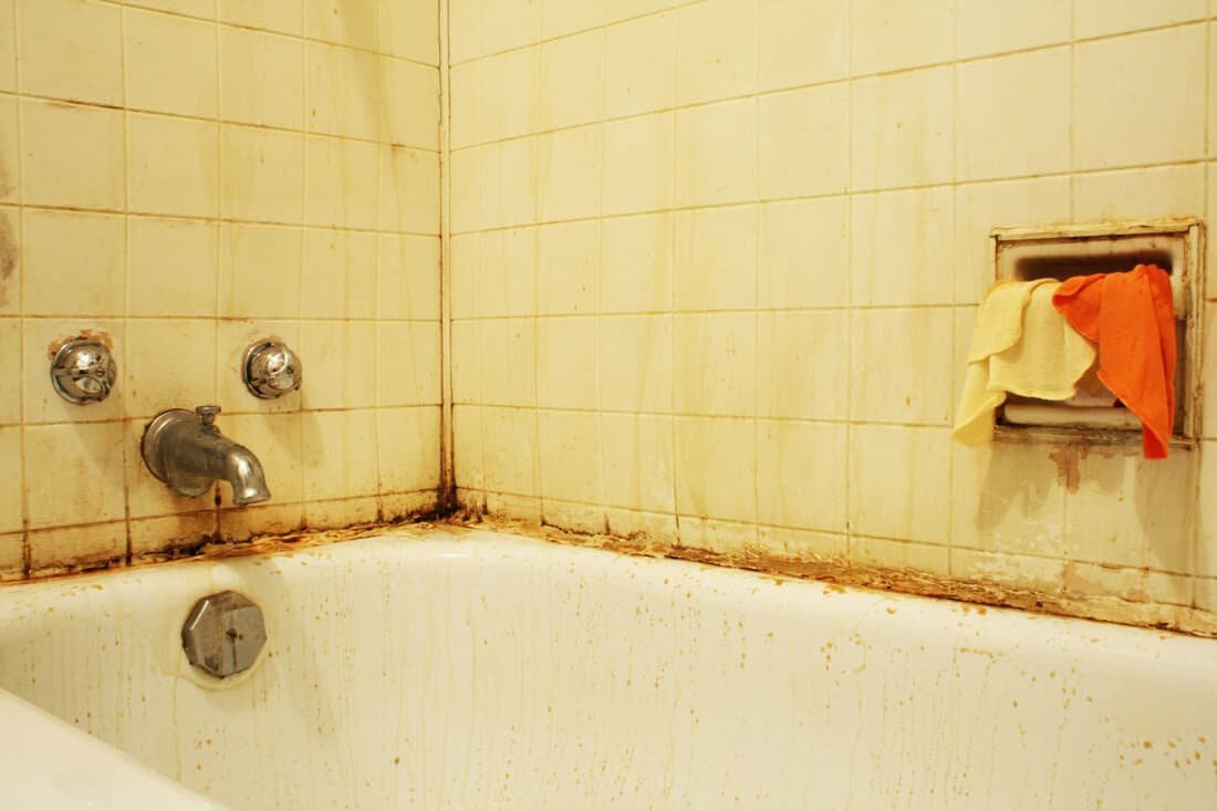 Nontoxic Bathroom Mold Cleaning Solutions
