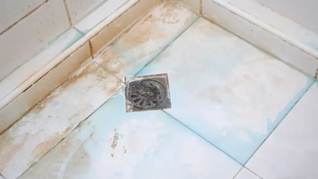 How to Get Rid of Pink Mold in Shower Naturally and Keep it Gone1