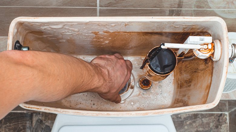 Toilet Tank Not Filling After Flush Troubleshooting the Problem2