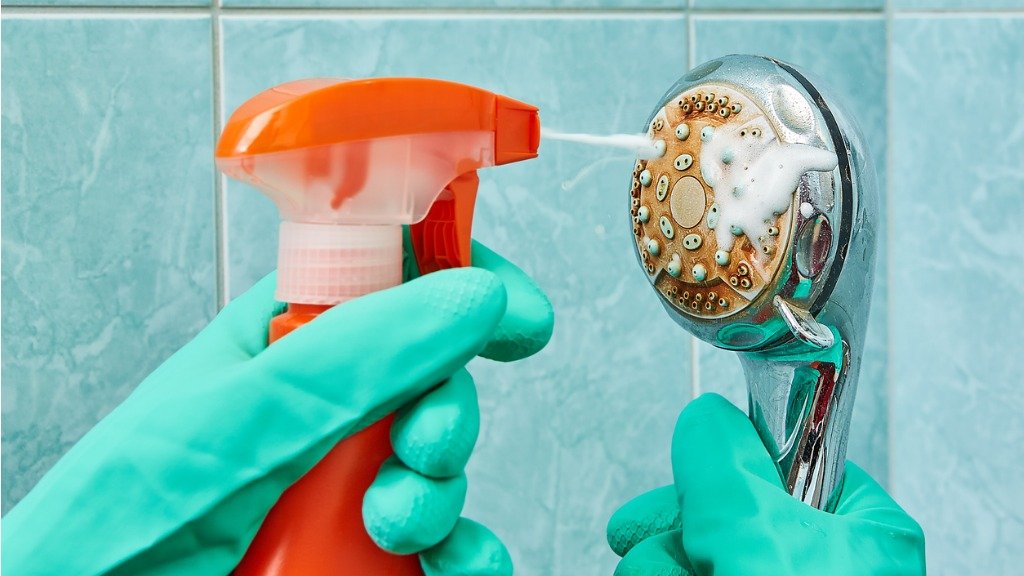 DIY Way to Remove Limescale from Shower Head