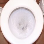 Toilet Bubbling When Shower Is Running Here’s How to Fix It