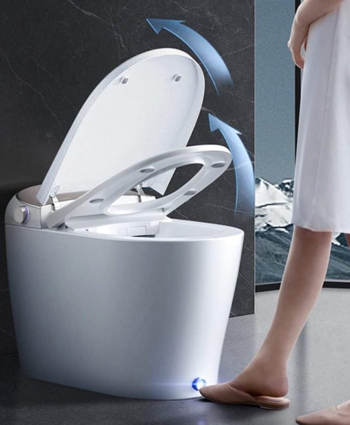 Best Bidet Toilet Combos