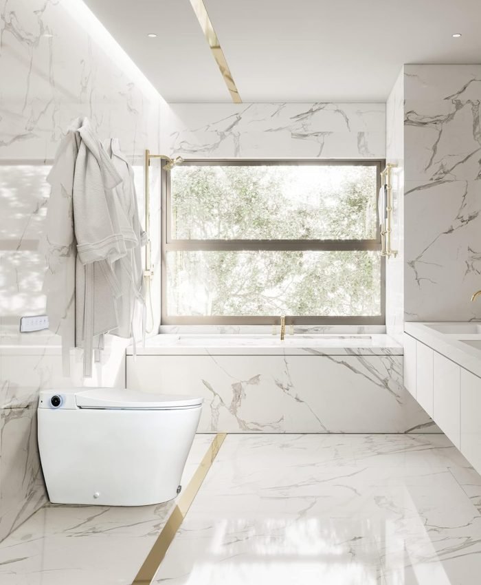 Bidet Drying - Pros and Cons